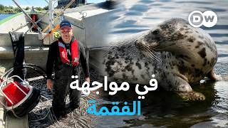 وثائقي | الصيد أم الحماية؟ الصراع حول فقمة بحر البلطيق | وثائقية دي دبليو