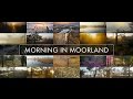 Morning in Moorland (Ķemeri National park)
