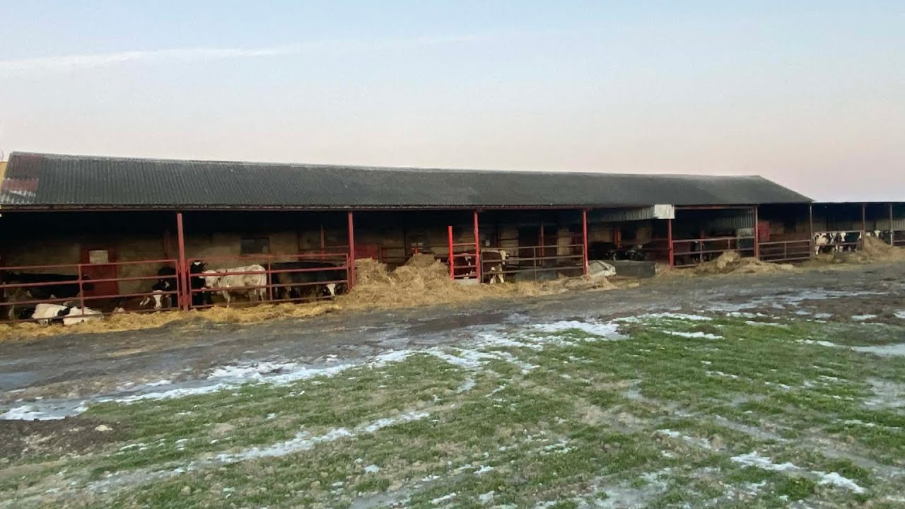 codzienne obowiązki 2026