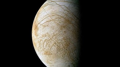 جديد   تلاوة خاشعة جدا للشيخ ابو بكر الشاطرى   مؤثر جدا      YouTube