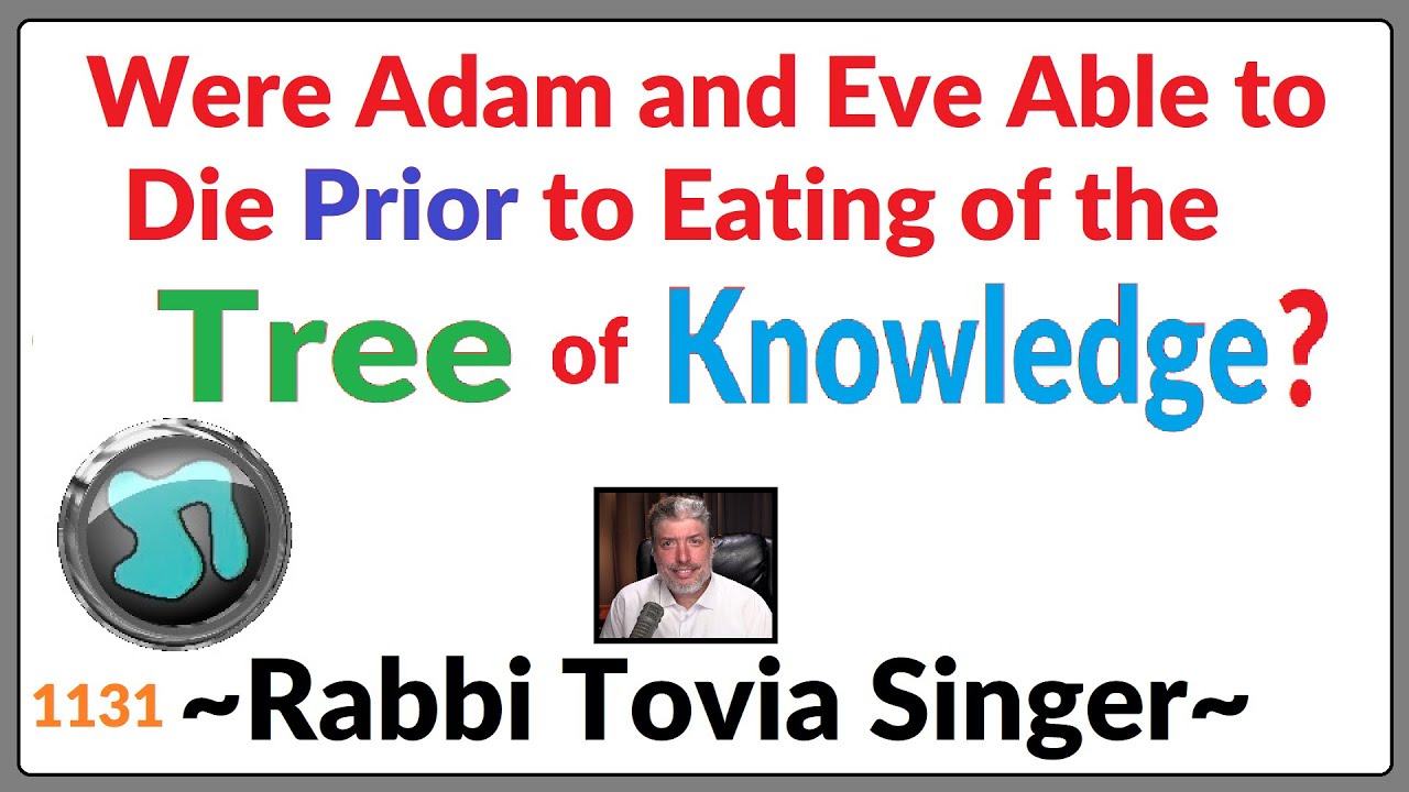 1153 - Were Adam and Eve Able to Die Prior to Eating of the Tree of Knowledge? Rabbi Tovia Singer