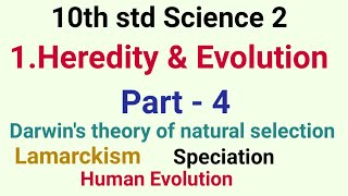 10th std Science Heredity and Evolution Part 4 || Heredity and Evolution class 10