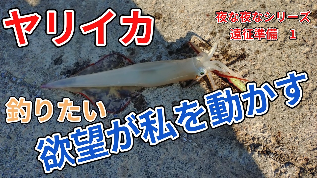 I want to catch squid. Only that desire drives me. Night after