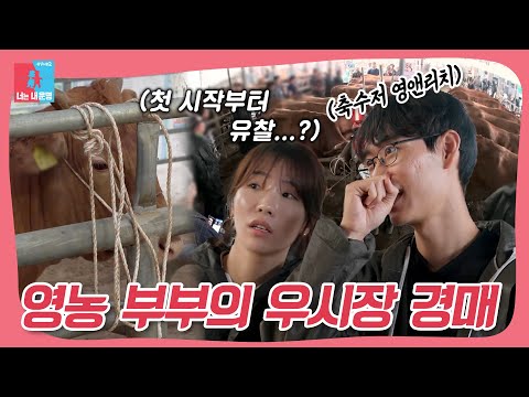 하루 수익 수천만 원?!😮 20대 영농 부부의 영 앤 리치한✨ 우시장 경매 현장🐂 #동상이몽