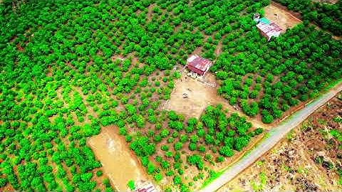 Đất nền nghỉ dưỡng giá tốt Lộc An - Bảo Lâm - Lâm Đồng