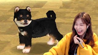 39daph Plays Nintendogs, Cooking Mama, Brain Age, Rhythm Heaven, Trauma Center screenshot 4