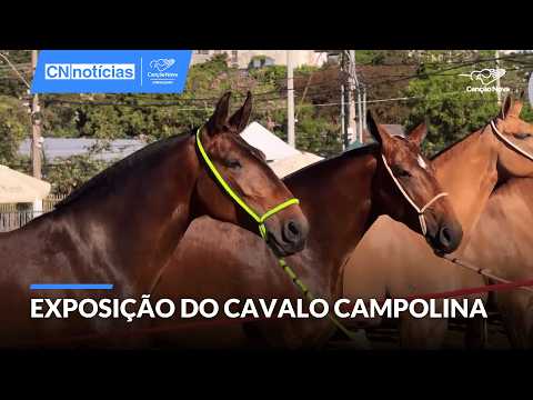National Campolina Horse Exhibition stirs up BH