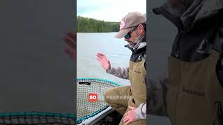 Jeremy Smith explains how to properly handle muskies and why its important. #muskie #fishing