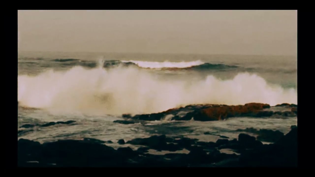 And so he dreamt about lions by the sea