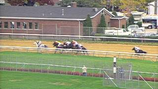 1994 Breeders' Cup Distaff