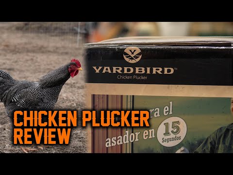 How To BUTCHER & CLEAN A Chicken With The YARDBIRD Chicken Plucker - D.I.Y - BEST CHICKEN PLUCKER