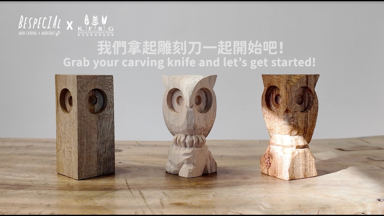 小貓頭鷹雕刻教學 Little Owl Whittling Video