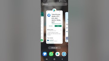 TP Tron Wallet Setup