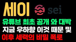 세이 코인 전망 이거 반응 보고 몇 시간만 공개 할지 고민 하겠습니다