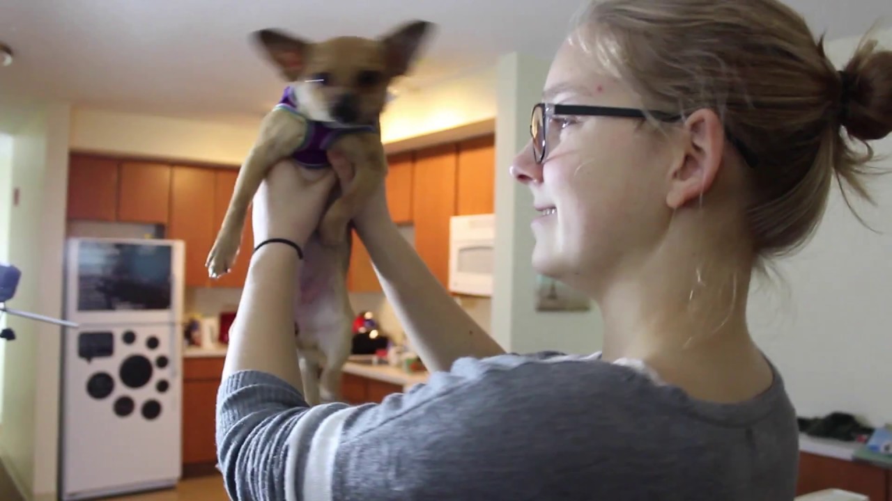 VEDIF Day 7: 最特别的爱 BLOOPERS & Behind the Scenes