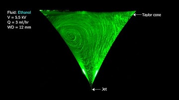 Stability inside the Taylor cone