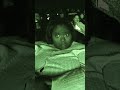 Audience Reactions to Primate are WILD