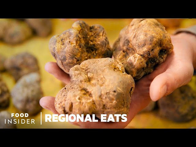 Hunting For White Truffles In Italy | Regional Eats