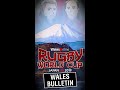 Shaun Edwards on Wales team injury news  | Rugby World Cup 2019