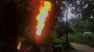 Sky Above Me ,Earth Below Me, Fire Within