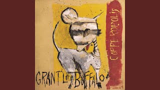 Watch Grant Lee Buffalo Crackdown video