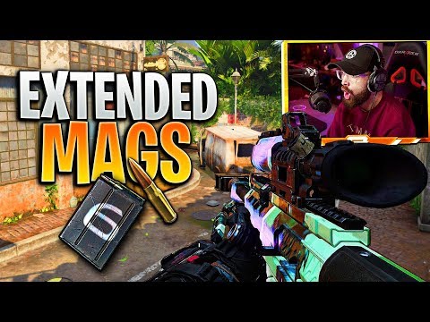The NEW Paladin Sniper!! (Extended Mags on BO4 Paladin)
