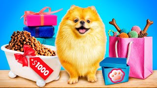 Life Hacks for Pet Owners
Subscribe Here: https://www.youtube.com/channel/UCsve24GRCjZuX0PmA_L3FyA?sub_confirmation=1
Don’t forget to turn on notifications, like & subscribe! Life Hacks for Pet Owners