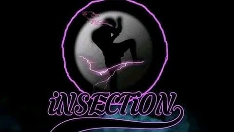 Insection Intro Song