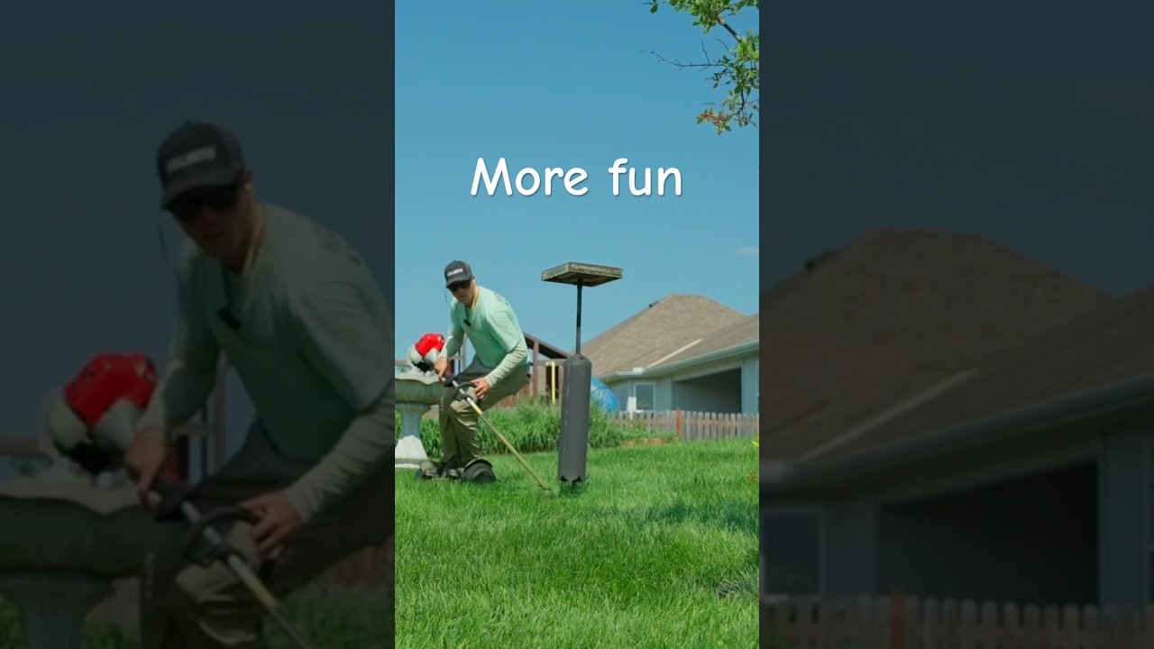 Это делает газон более интересным. 