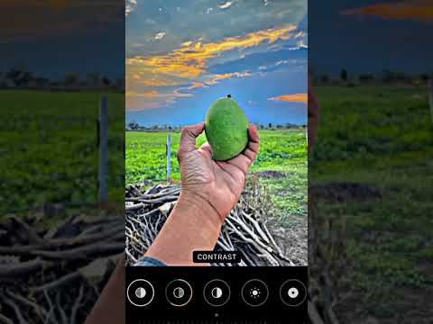 vn video editing