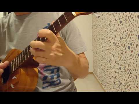 Ｍ プリンセスプリンセス ウクレレソロ 🎵