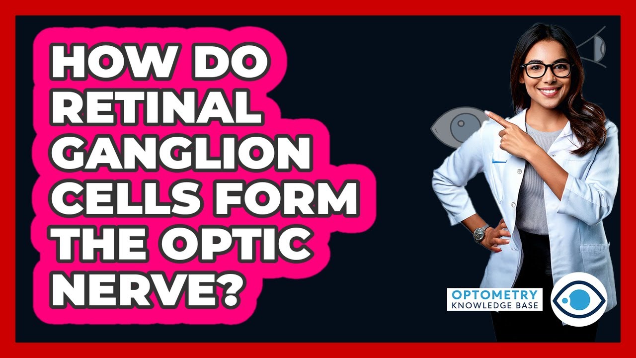 How do retinal ganglion cells form the optic nerve?