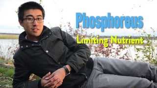 Enhanced Biological Phosphorous Removal: Wastewater Treatment