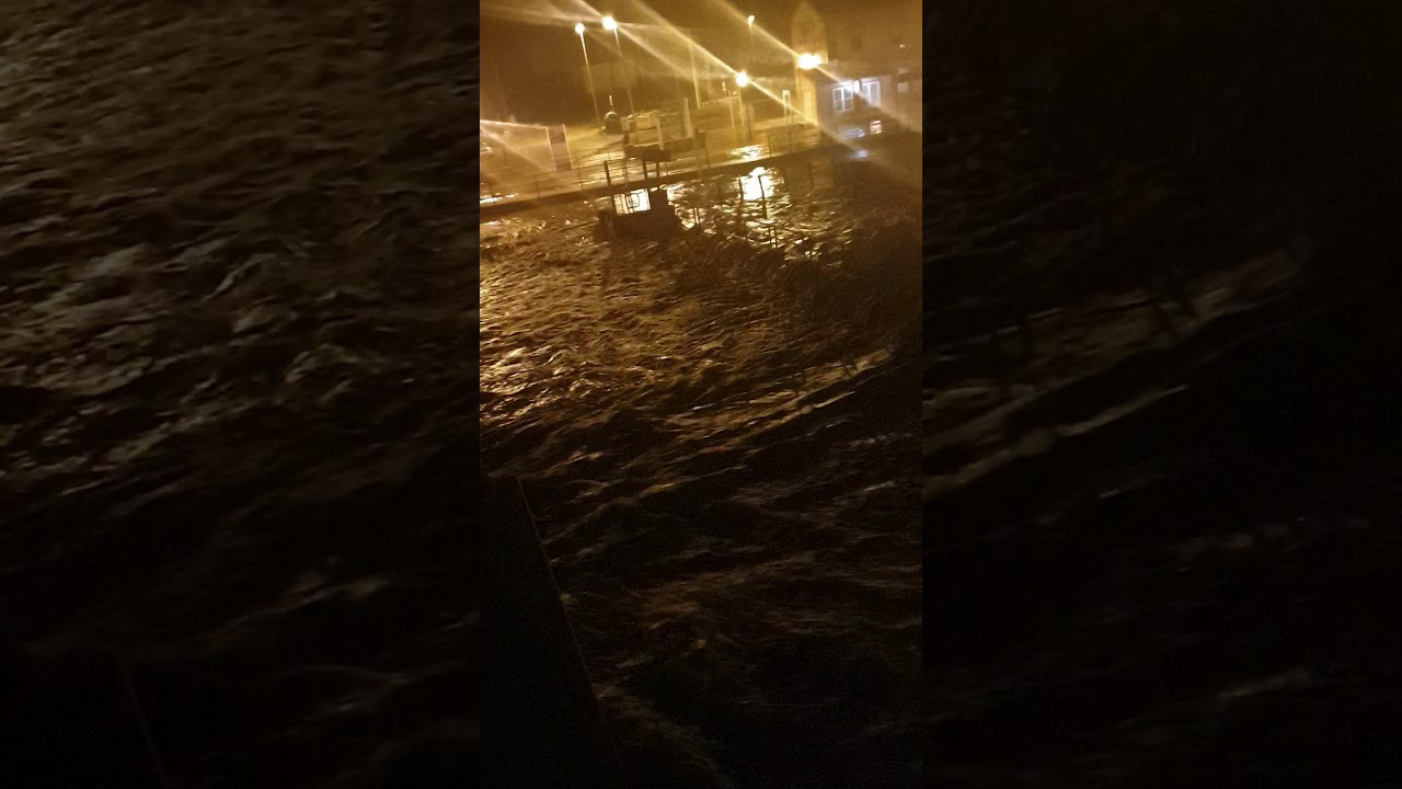 Riada camesa de Valdivia 2019