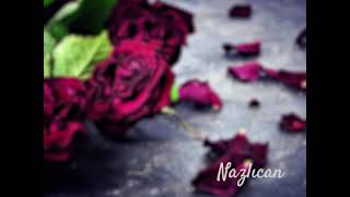 Nazlıcan