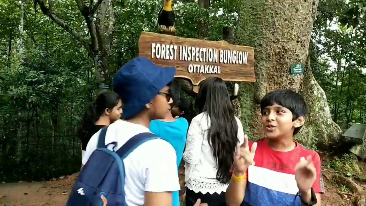 Deer Park Thenmala tour 😍