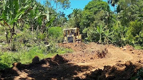 Outstanding Work CAT D6R XL Bulldozer Operator Making Highly Proficient Plantation Road