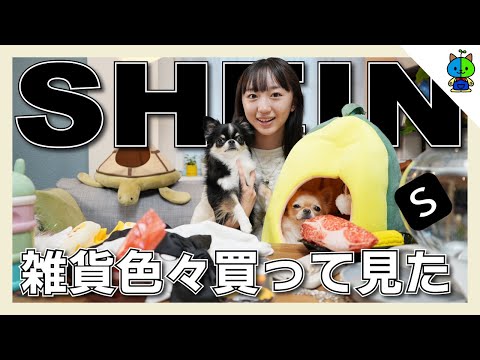 SHEIN】服だけじゃ無かった！スマホケースや犬グッズなど大量に買って