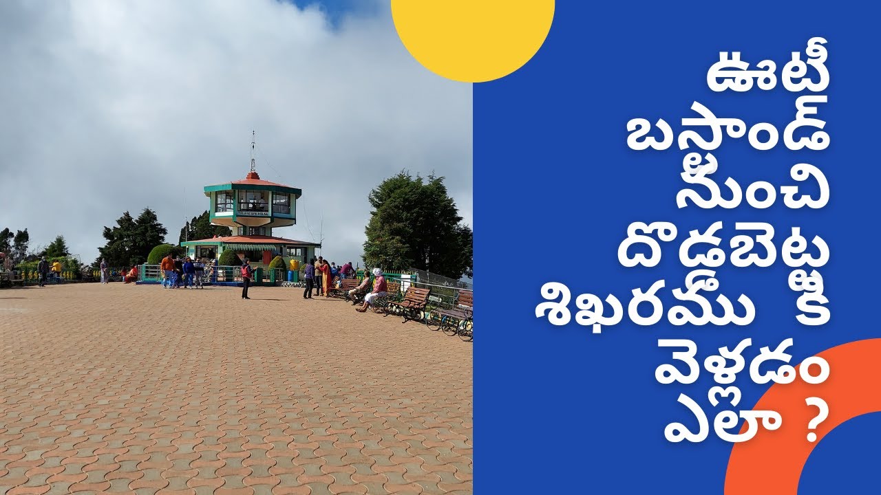how-to-reach-doddabetta-peak-from-ooty-bus-stand-ooty-vlogs