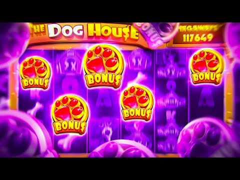 Видео: Я СЛОВИЛ РЕДЧАЙШИЕ 5 СКАТТЕРОВ В DOG HOUSE MEGAWAYS