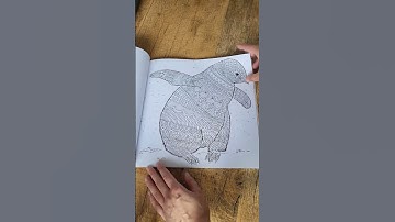 This Dutch birdbook unfortunately is nowhere available online. But isn