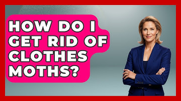 How Do I Get Rid Of Clothes Moths? - The Sharp Dressed Gent