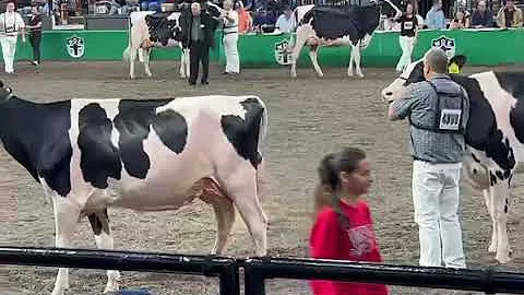 Live HF show at World Dairy Expo Madison USA
