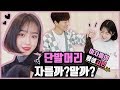 여자의 평생 고민 !! 단발머리 자를까 말까? 단발머리의 모든 것