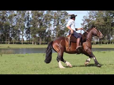 LOTE 42 CAPANEGRA SISTEMA