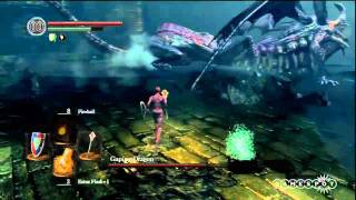 Dark Souls: Gaping Dragon Boss Fight Movie (PS3)