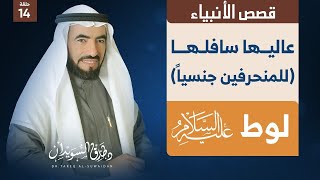 قصص الانبياء : ح 14 | عذاب الله تعالى لقوم لوط - رؤيا يوسف عليه السلام |