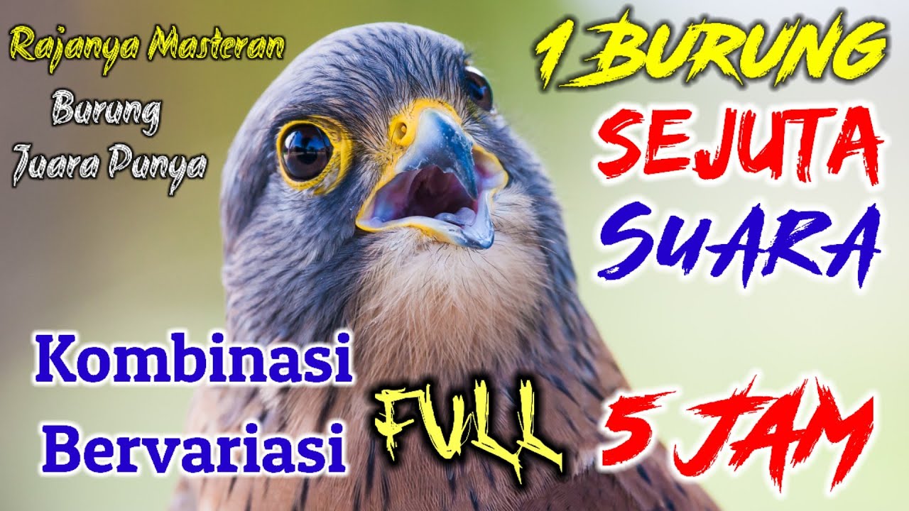 SATU BURUNG SEJUTA SUARA FULL 5 JAM || MASTERAN LANGKAH UNTUK BURUNG JUARA