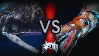 Animal Face-Off (2004) | Full Fight [12/12] | Sperm Whale vs Colossal Squid