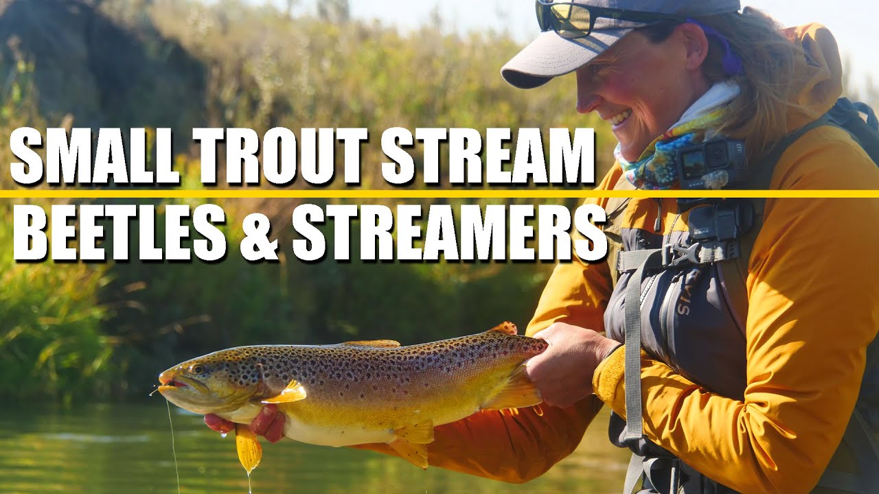 Small Trout Stream Beetles & Streamers - Fly Fishing Rainbow Trout